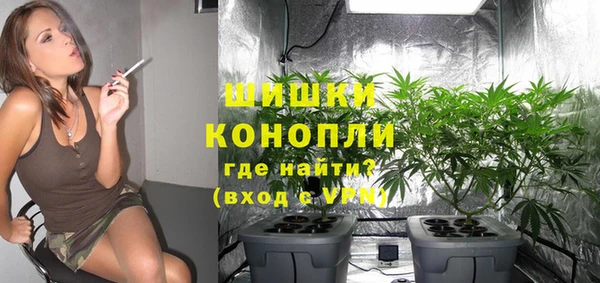прущая мука Инта